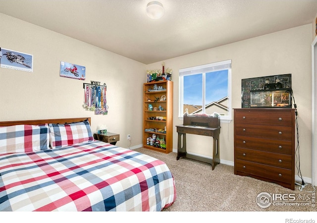 1787 Avery Plaza St, Severance, CO 80550 - photo 19