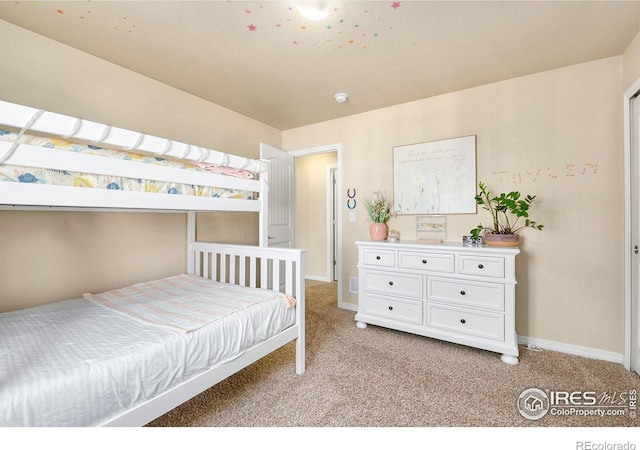 1787 Avery Plaza St, Severance, CO 80550 - photo 20
