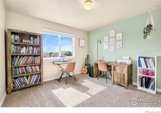 1787 Avery Plaza St, Severance, CO 80550 - photo 23