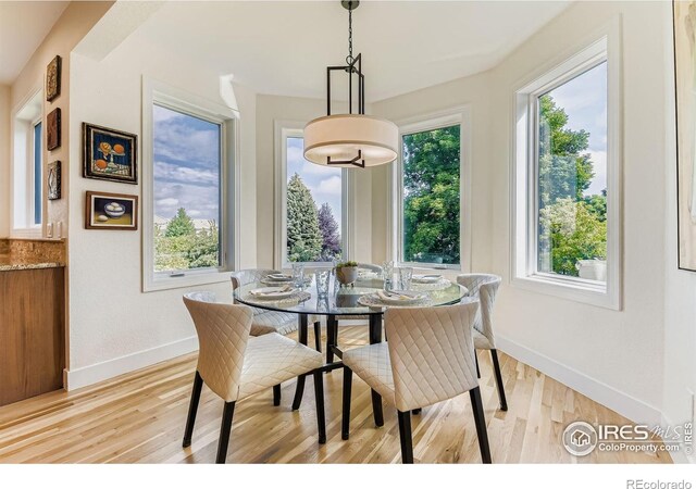 6516 Columbine Ct, Niwot, CO 80503 - photo 11