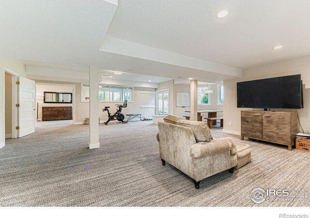 6516 Columbine Ct, Niwot, CO 80503 - photo 28