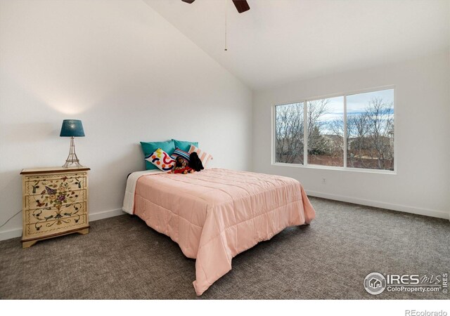 12993 Kearney Way, Thornton, CO 80602 - photo 28