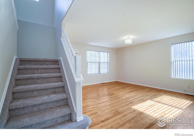 3446 E 106th Pl, Northglenn, CO 80233 - photo 13