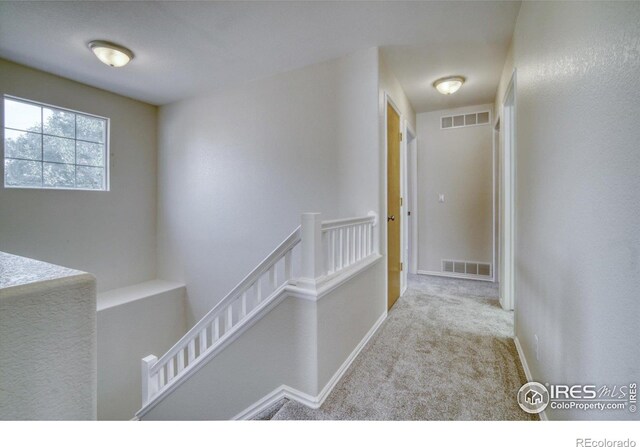 3446 E 106th Pl, Northglenn, CO 80233 - photo 26