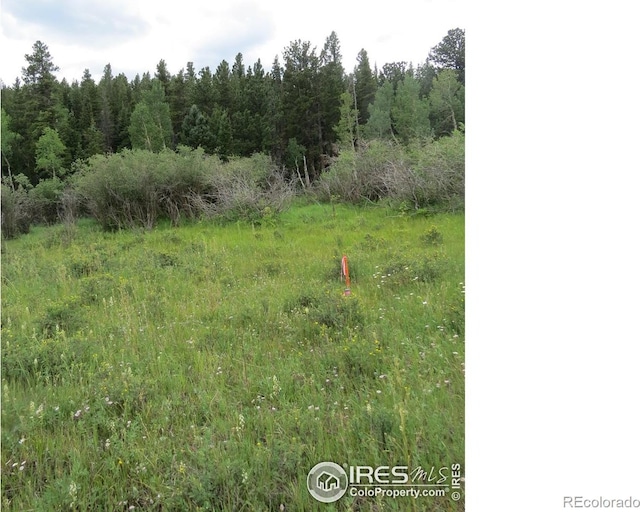 0 Peak To Peak Hwy, Nederland, CO 80466 - photo 2