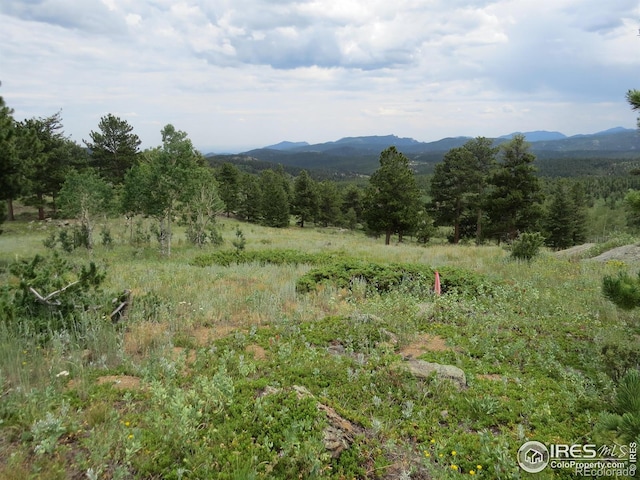 0 Peak To Peak Hwy, Nederland, CO 80466 - photo 4