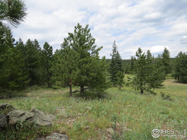 0 Peak To Peak Hwy, Nederland, CO 80466 - photo 5
