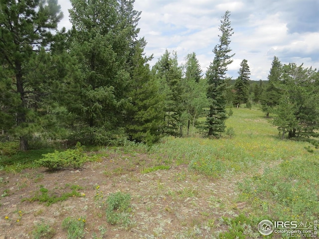 0 Peak To Peak Hwy, Nederland, CO 80466 - photo 6