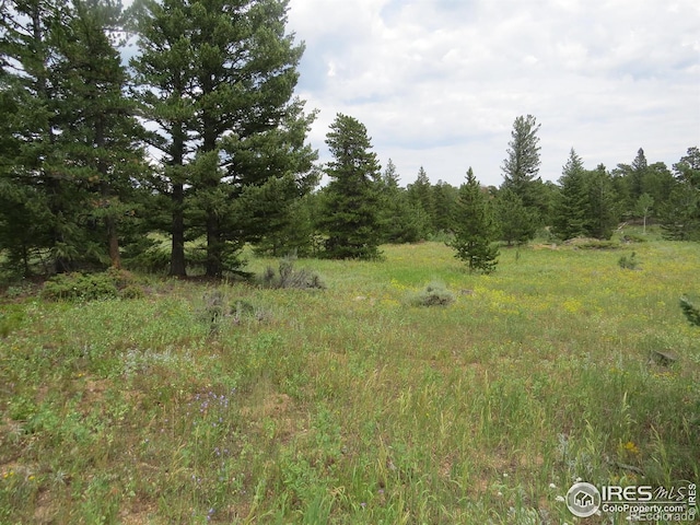 0 Peak To Peak Hwy, Nederland, CO 80466 - photo 7