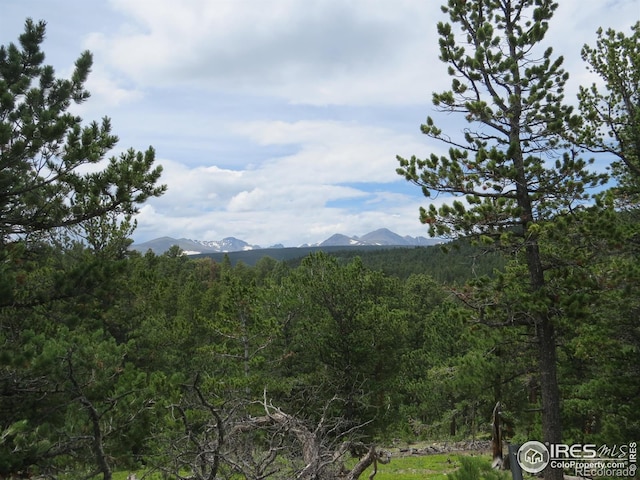 0 Peak To Peak Hwy, Nederland, CO 80466 - photo 8