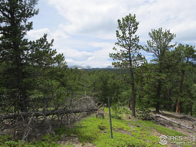 0 Peak To Peak Hwy, Nederland, CO 80466 - photo 9