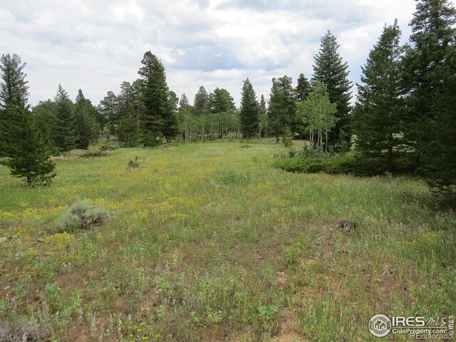 0 Peak To Peak Hwy, Nederland, CO 80466 - photo 10