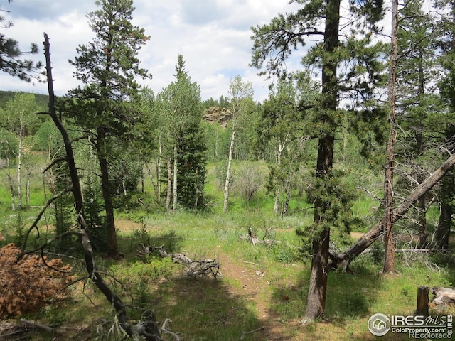 0 Peak To Peak Hwy, Nederland, CO 80466 - photo 11