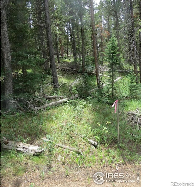0 Peak To Peak Hwy, Nederland, CO 80466 - photo 12
