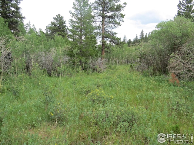 0 Peak To Peak Hwy, Nederland, CO 80466 - photo 13