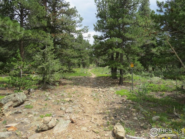 0 Peak To Peak Hwy, Nederland, CO 80466 - photo 14