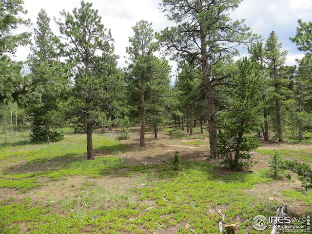 0 Peak To Peak Hwy, Nederland, CO 80466 - photo 15
