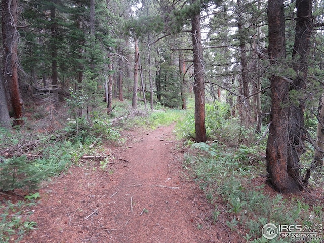 0 Peak To Peak Hwy, Nederland, CO 80466 - photo 16