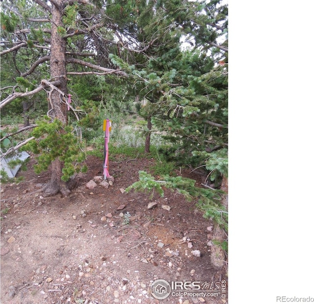 0 Peak To Peak Hwy, Nederland, CO 80466 - photo 19