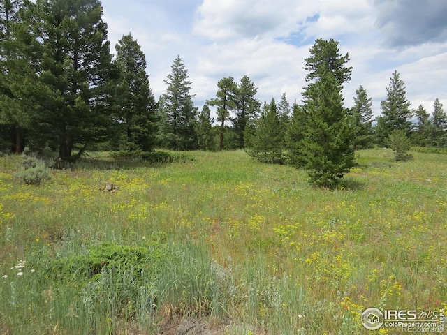 0 Peak To Peak Hwy, Nederland, CO 80466 - photo 20