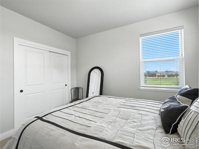 5267 School House Dr, Timnath, CO 80547 - photo 22