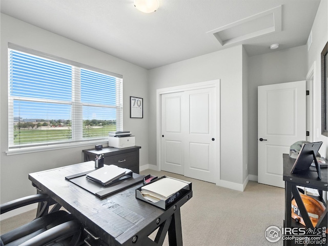 5267 School House Dr, Timnath, CO 80547 - photo 24