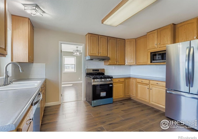 11131 Lookout Rd, Longmont, CO 80504 - photo 14