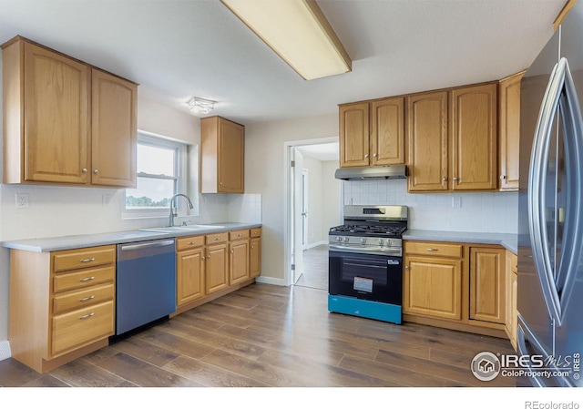 11131 Lookout Rd, Longmont, CO 80504 - photo 15