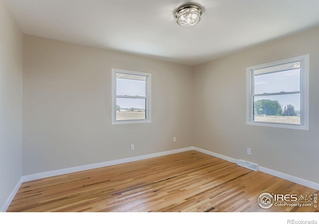 11131 Lookout Rd, Longmont, CO 80504 - photo 29