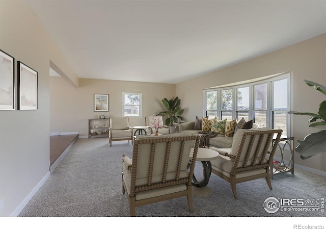 11131 Lookout Rd, Longmont, CO 80504 - photo 12