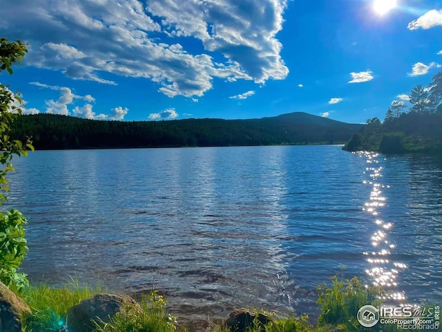 28 Nonami Ct, Red Feather Lakes, CO 80545 - photo 40
