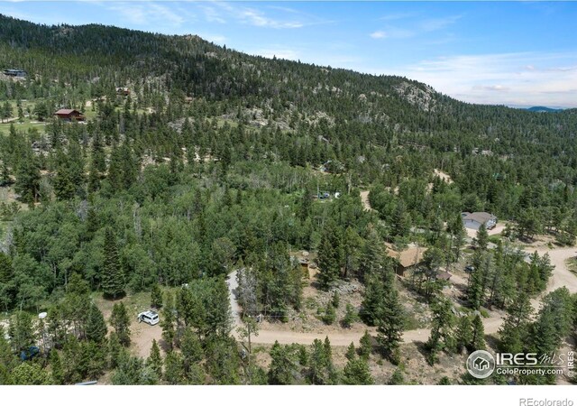 28 Nonami Ct, Red Feather Lakes, CO 80545 - photo 30