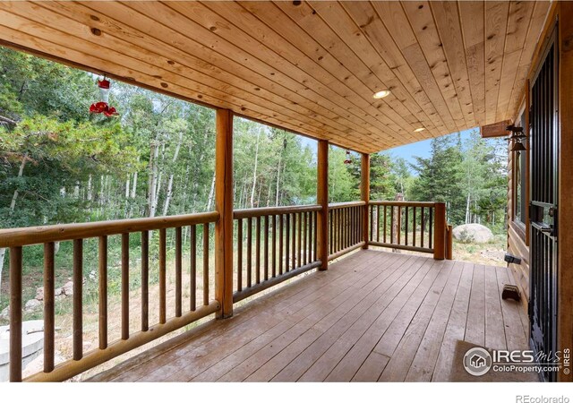 28 Nonami Ct, Red Feather Lakes, CO 80545 - photo 4