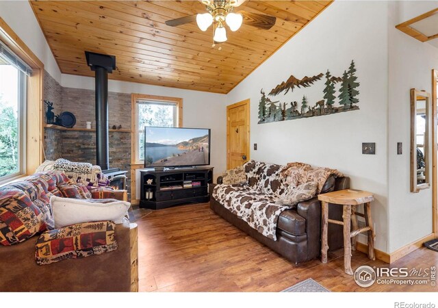 28 Nonami Ct, Red Feather Lakes, CO 80545 - photo 7