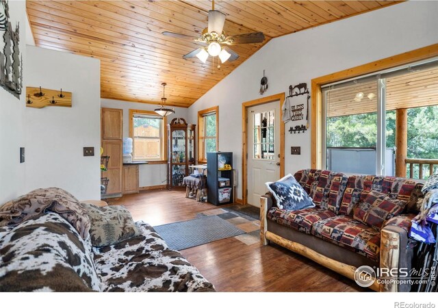 28 Nonami Ct, Red Feather Lakes, CO 80545 - photo 10