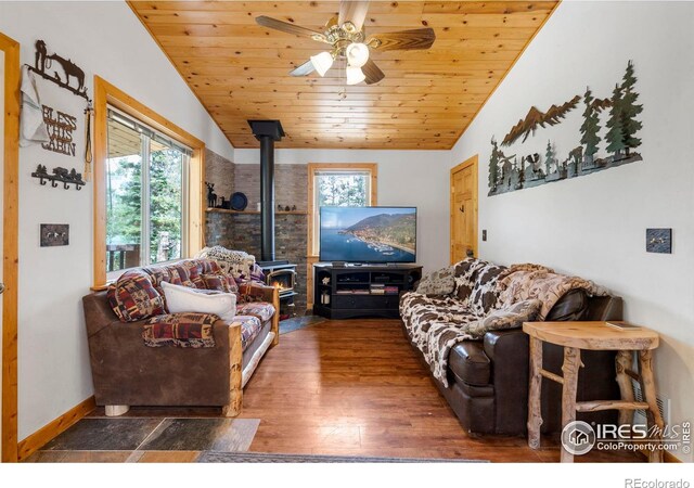 28 Nonami Ct, Red Feather Lakes, CO 80545 - photo 8