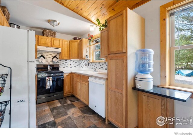 28 Nonami Ct, Red Feather Lakes, CO 80545 - photo 13
