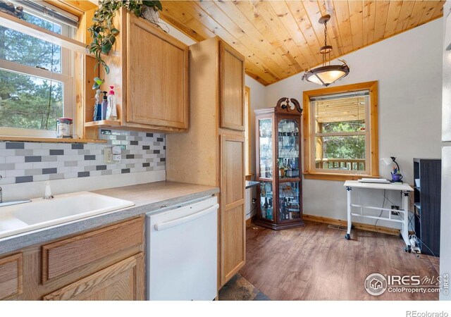 28 Nonami Ct, Red Feather Lakes, CO 80545 - photo 18