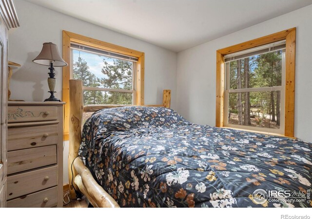 28 Nonami Ct, Red Feather Lakes, CO 80545 - photo 19