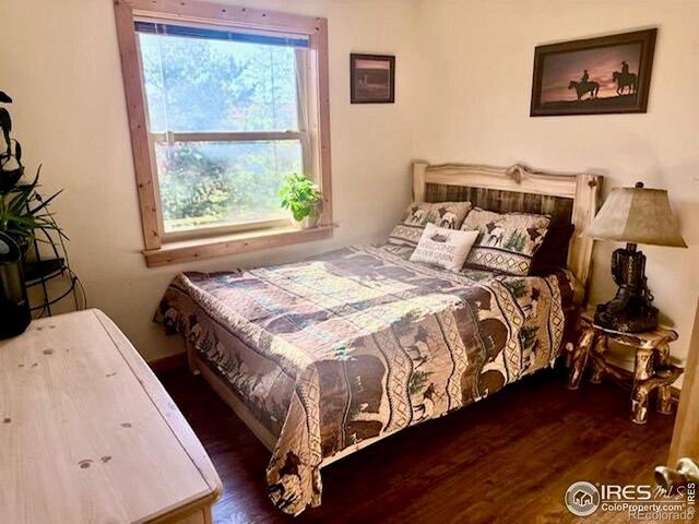 28 Nonami Ct, Red Feather Lakes, CO 80545 - photo 20