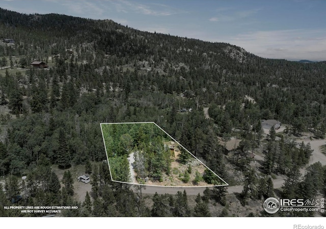 28 Nonami Ct, Red Feather Lakes, CO 80545 - photo 31
