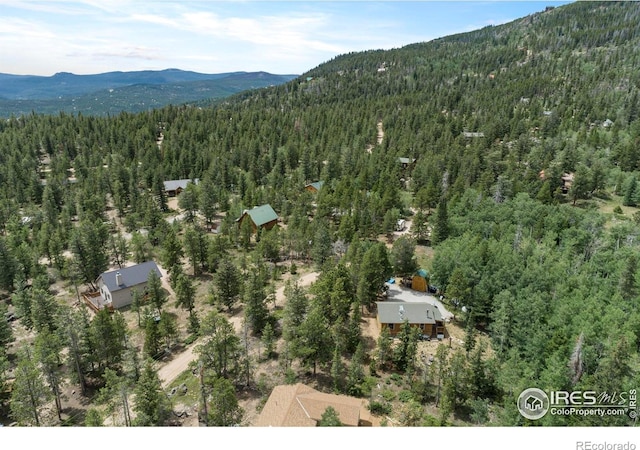 28 Nonami Ct, Red Feather Lakes, CO 80545 - photo 34
