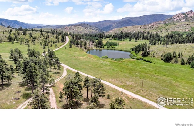 1738 Paradise Park Rd, Bellvue, CO 80512 - photo 27