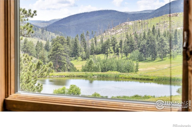 1738 Paradise Park Rd, Bellvue, CO 80512 - photo 9