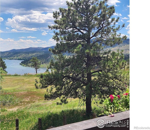 3514 Horsetooth Cliffs Way, Fort Collins, CO 80526 - photo 29