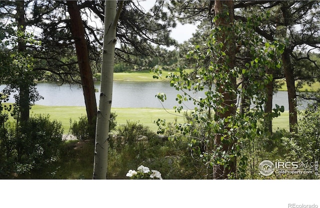 220 Fox Acres Dr W, Red Feather Lakes, CO 80545 - photo 4