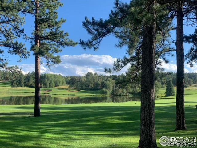 220 Fox Acres Dr W, Red Feather Lakes, CO 80545 - photo 24