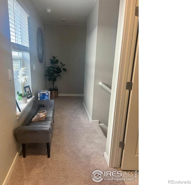 1869 Floating Leaf Dr, Fort Collins, CO 80528 - photo 2