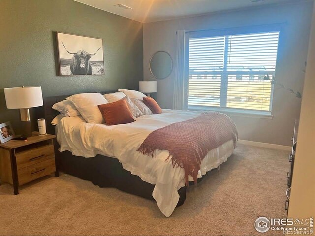 1869 Floating Leaf Dr, Fort Collins, CO 80528 - photo 9