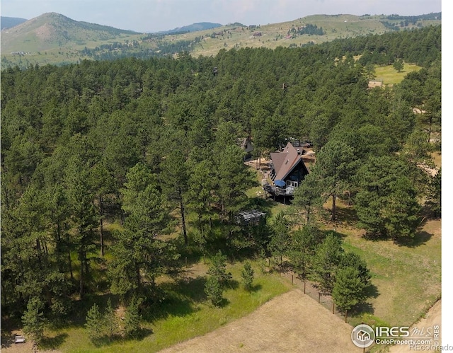 208 Wild Tiger Rd, Boulder, CO 80302 - photo 6